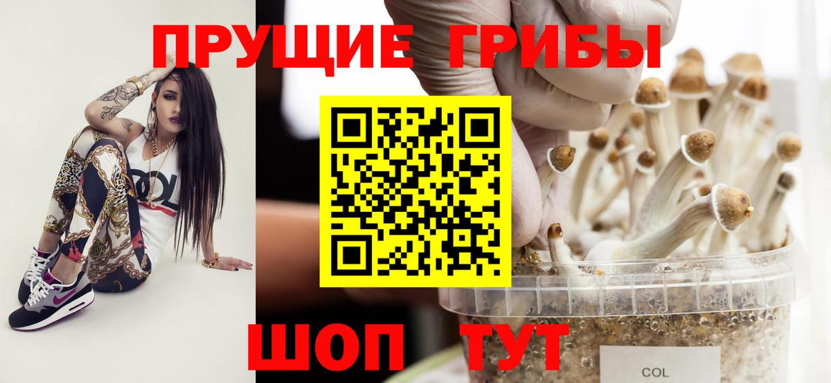 Галлюциногенные грибы MAGIC MUSHROOMS  Галлюциногенные грибы прущие грибы  Вход с VPN  хочу наркоту  Хабаровск 